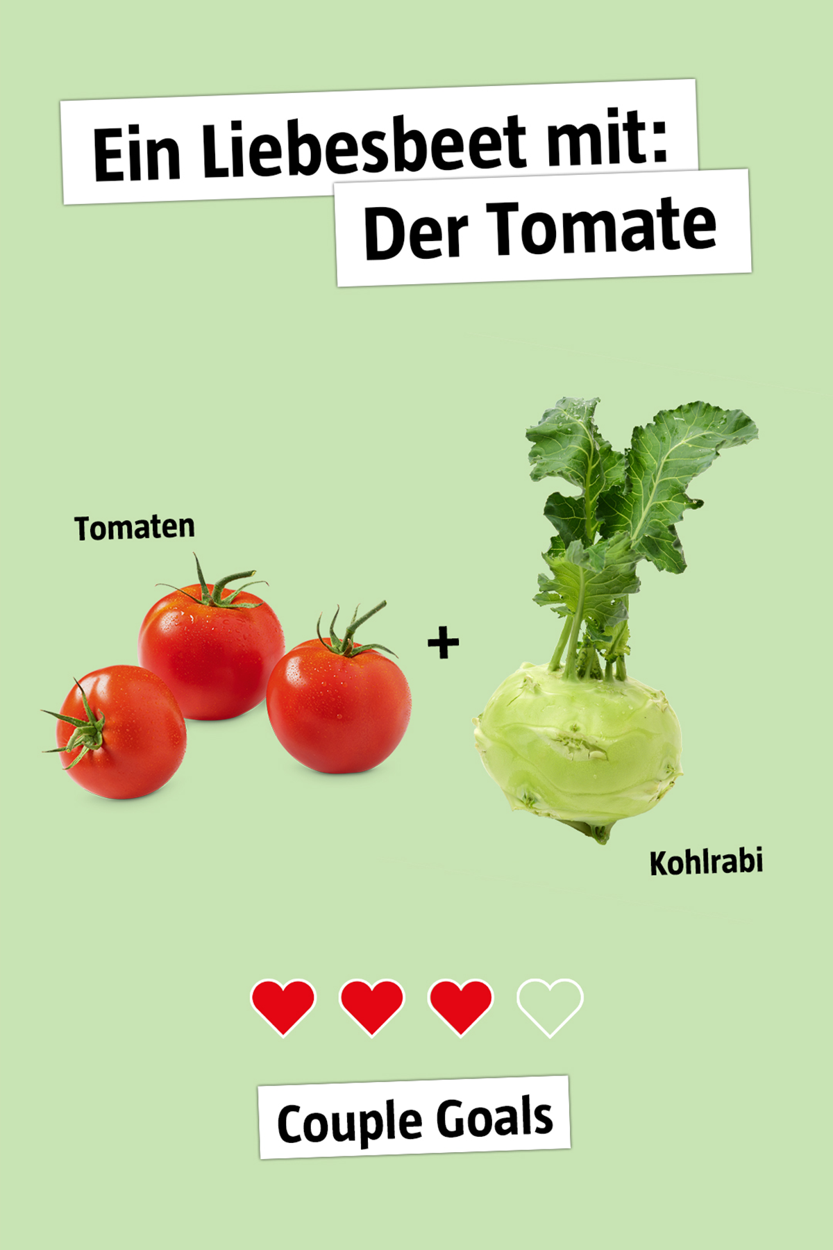 sd-bauhas-tomate