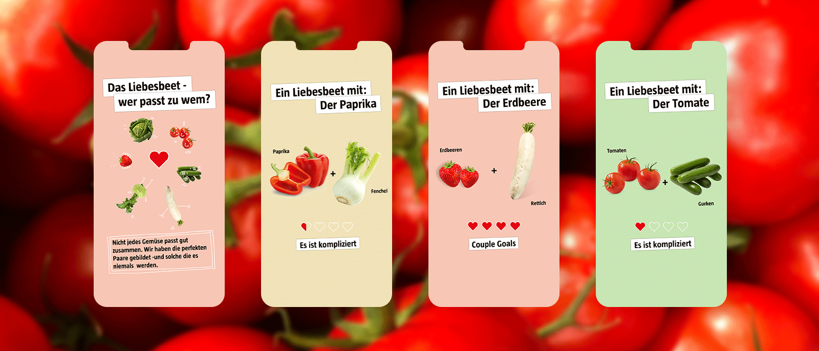 silviadoganay-bauhaus-liebesbeet-1